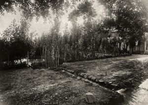 En trädgård vid Bahá’u’lláhs hem i Shimran, utanför Tehran
